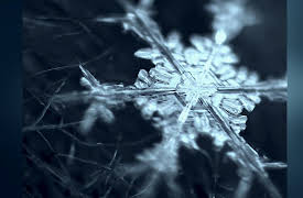 Don't Blink: Beauty or Beast