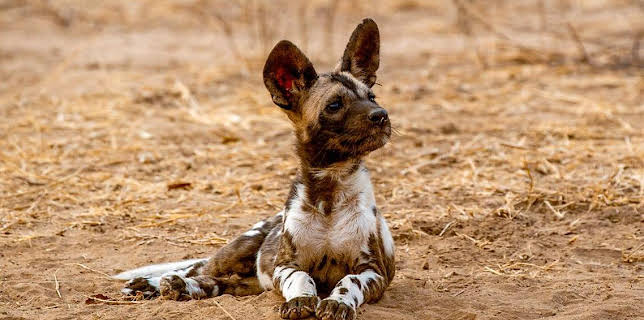 6:25 PM: Kingdom (S1 E2) (S1) | BBC One | 11/16 2025