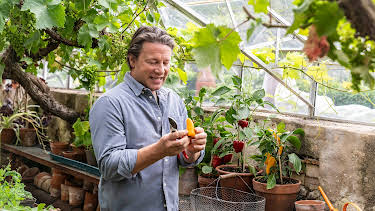 06:30: Jamie Oliver: Seasons (S1 E4) (S1) | TV6 | 4/18 2026