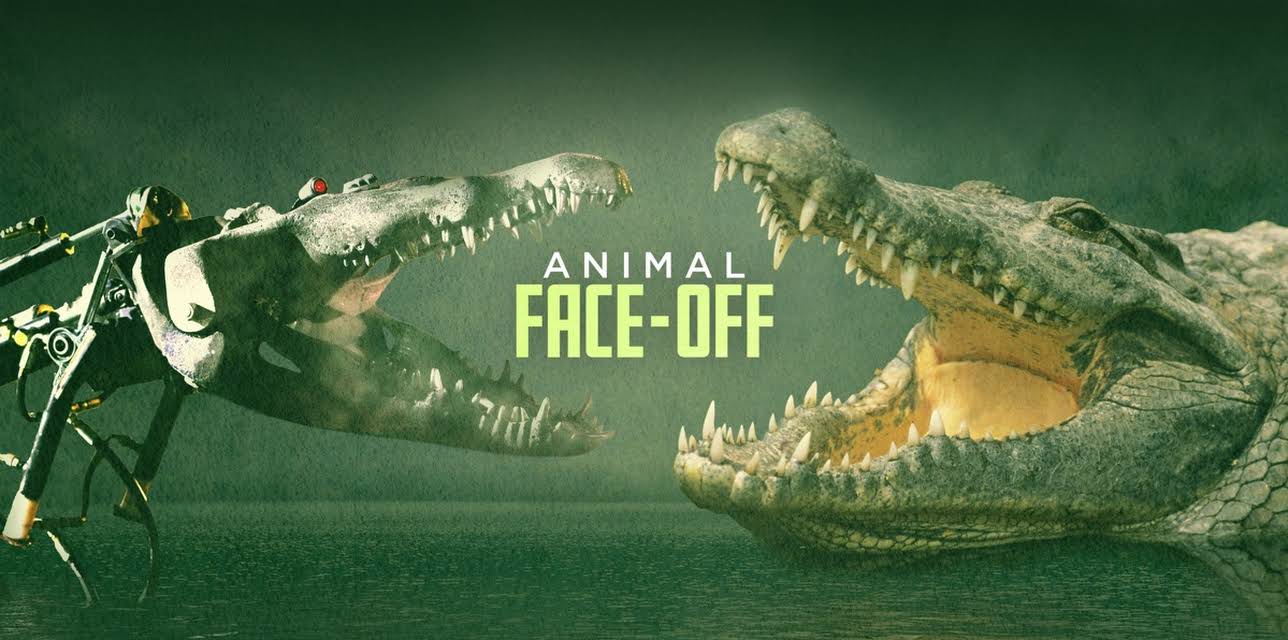 Animal Face-Off