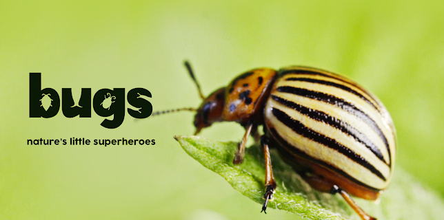 Bugs: Nature's Little Superheroes (2017)