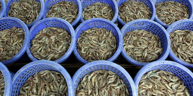 10:48: How It's Made (S24 E10) (S24) | Discovery Science | 12/14 2025