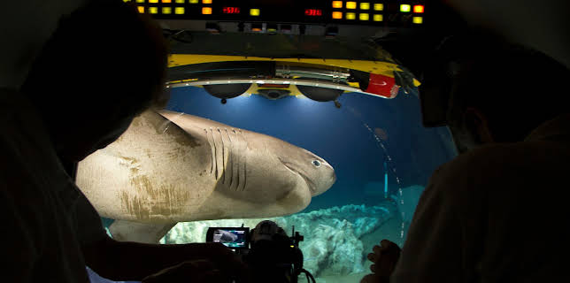 02:10: Der Blaue Planet: Leuchtende Tiefsee | 3SAT | 2/2 2026