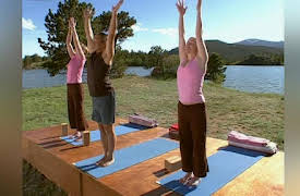 Gaiam: Mayo Clinic Wellness Solutions for IBS (Irritable Bowel Syndrome): Yoga for IBS