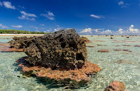 The Last Unknown: The Last Unknown: Rose Atoll