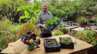 8:00 PM: Gardeners' World | BBC Two | 10/9 2026