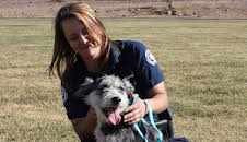 Animal Cops Phoenix (S15 E3)