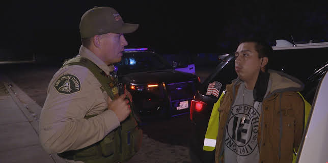 17:25: Cops | TV 2 Zebra | 11/11 2025