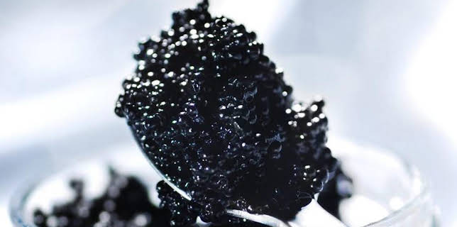 3:00 PM: How It's Made (S15 E1) (S15) | Discovery Channel | 3/24 2026