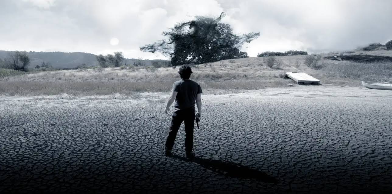 The Lost Tree (2017)