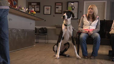 3:00 PM: Dr. Jeff: Rocky Mountain Vet (S4) | Discovery Channel | 4/10 2026