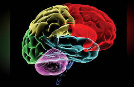 Masters of Mindfulness: Transforming Your Mind and Body: Mindfulness as Brain Training