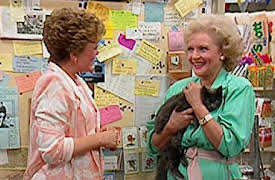 The Golden Girls Season 1: The Way We Met