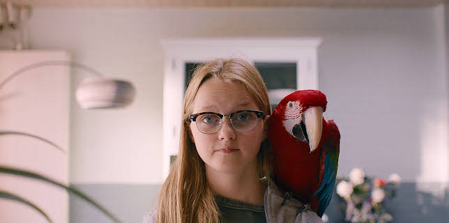 20:40: Vår ruler: Papegøye | NRK Super | 1/16 2026