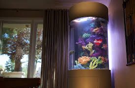 Tanked: On Call: Episode 1