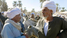 An den Ufern des Nil (1/3)