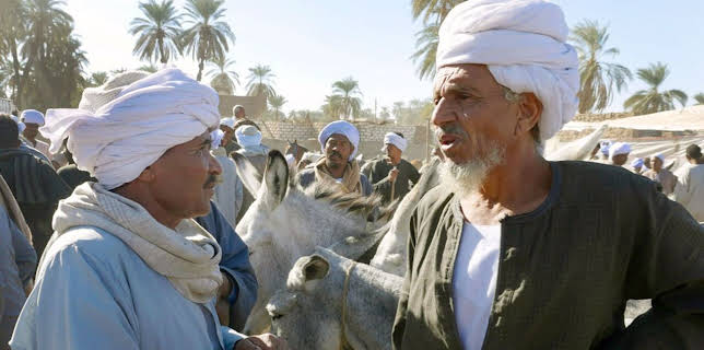 17:50: An den Ufern des Nil (1/3) | Arte | 3/12 2026