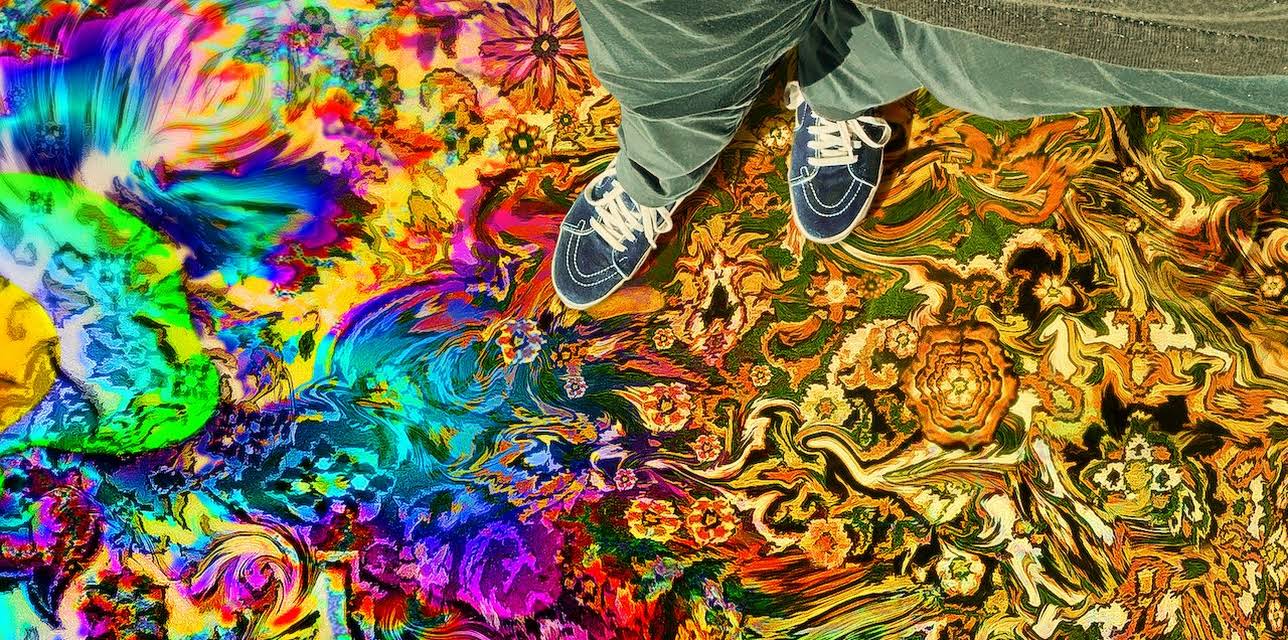 Have a Good Trip: Adventures in Psychedelics (2020)