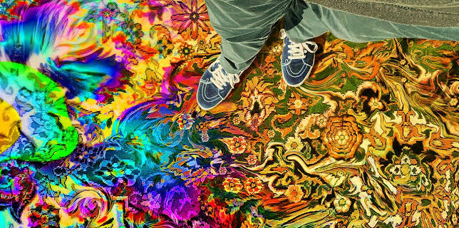Have a Good Trip: Adventures in Psychedelics (2020)