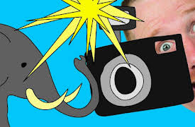 Steve and Maggie - Sing and Shout: Scary Safari