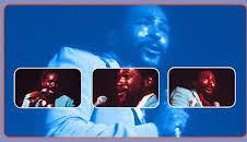 Marvin Gaye: Greatest Hits - Live in Amsterdam 1976