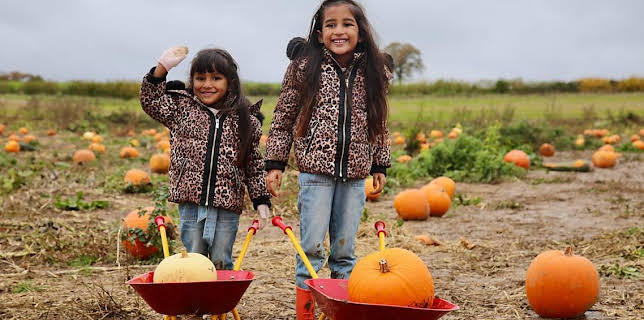 11:50 AM: Our Family (S5) | Cbeebies | 12/26 2025