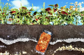 The Mind of a Chef: Season 1: Rotten