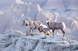 America's National Parks: Episode 4