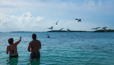 Husjakt på Bahamas (S3 E9)