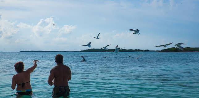 06:10: Husjakt på Bahamas (S3 E8) (S3) | VOX | 10/27 2025