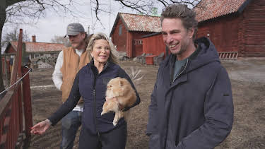 20:00: Renoveringsdrömmar (S4 E1) (S4) | Kanal 5 | 9/16 2026