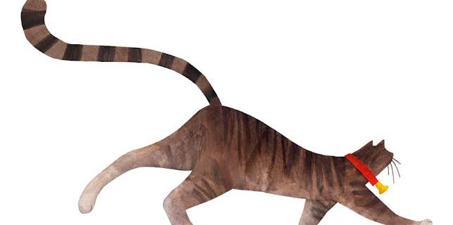 They All Saw a Cat (2018)