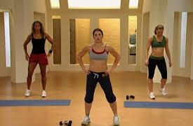 Jillian Michaels: 30 Day Shred Season 1: Level 1