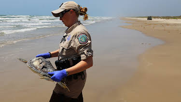 23:00: Lone Star Law  (S4 E15) (S4) | Animal Planet | 1/30 2026