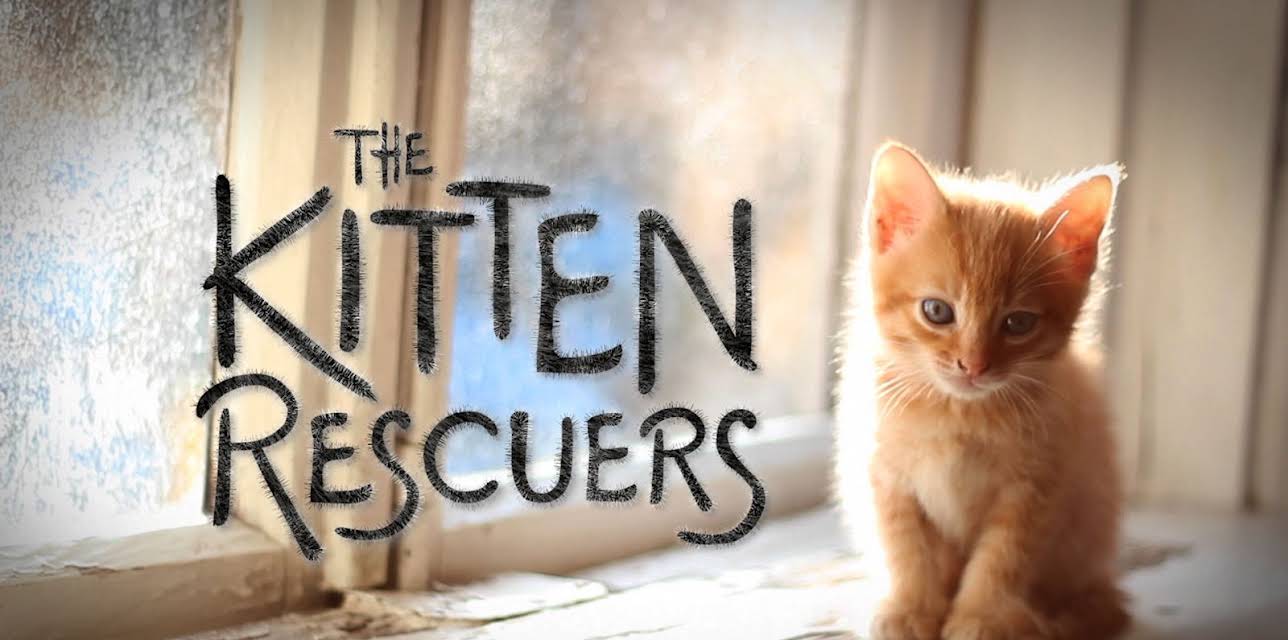 Kitten Rescuers