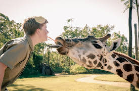 Crikey! It's the Irwins Season 1: It's A Baby Giraffe!