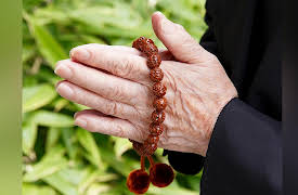 Understanding Japan: A Cultural History: Early Japanese Buddhism