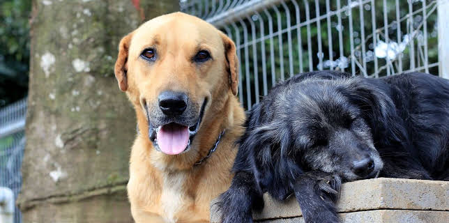 08:50: GEO Reportage | Arte | 1/31 2026