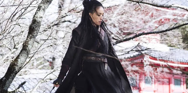 The Assassin (2015)