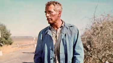 10:10 PM: Cool Hand Luke | Sky Greats | 4/7 2026