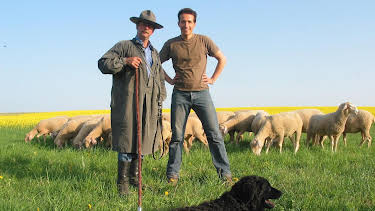 07:30: Willi wills wissen | ARD Alpha | 4/24 2026