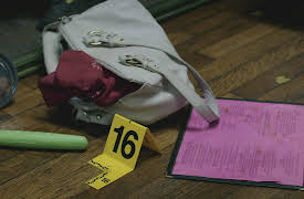 Real PD: Kansas City: I Just Shot My Girlfriend