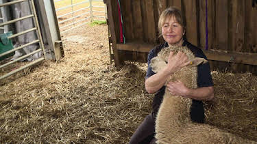 10:00 AM: The Yorkshire Vet (S10 E7) (S10) | 5 Select | 2/10 2026