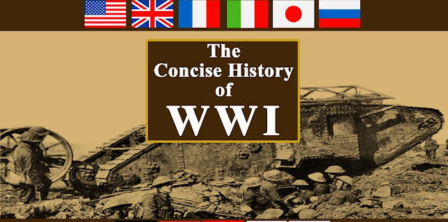 The Concise History of WWI (2016)
