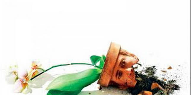 18:08: El ladrón de orquídeas (Adaptation) | M. Drama | 12/8 2025