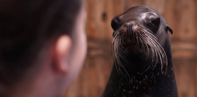 14:00: The Aquarium (S2 E2) (S2) | Animal Planet | 12/7 2025