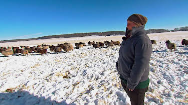 15:00: die nordstory - Erlebnis Winterzauber | Radio Bremen | 1/8 2026