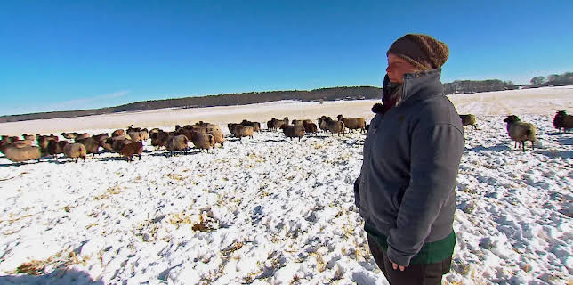 14:00: die nordstory - Erlebnis Winterzauber | NDR Fernsehen | 1/8 2026