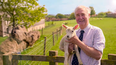 10:00 AM: The Yorkshire Vet (S20 E5) (S20) | 5 Select | 4/13 2026