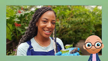 11:35 AM: Teeny Tiny Creatures (S2) | Cbeebies | 6/30 2026